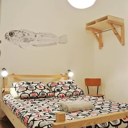 Hostel - & Dorms *
